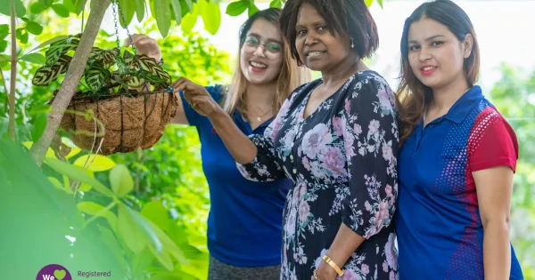 website blog (1)